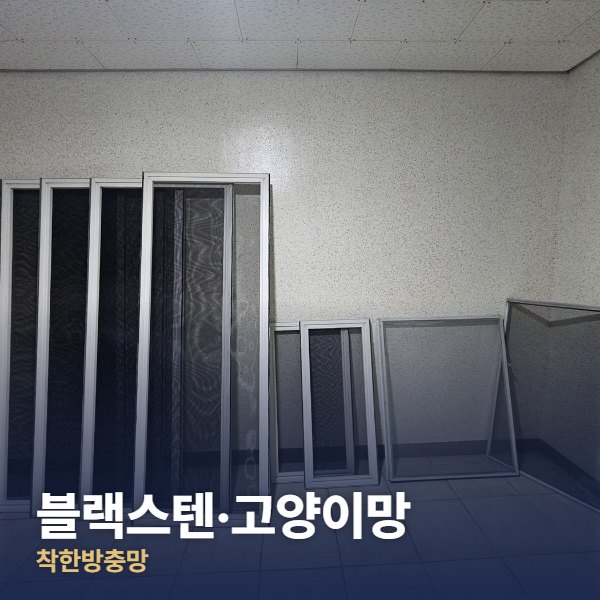 마포구 블랙스텐·고양이망
